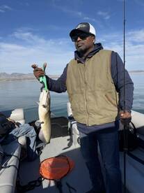 Lake Havasu City Report Photo 2