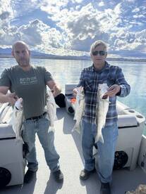 Lake Havasu City Report Photo 3