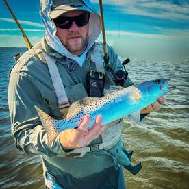 Palmetto Report Photo 1