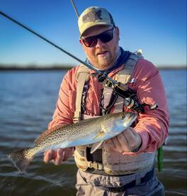 Palmetto Report Photo 2