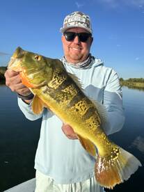 Toa Alta Report Photo 2