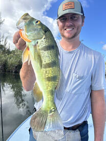 Toa Alta Report Photo 1