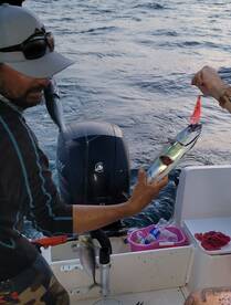 Nuevo Vallarta Report Photo 1