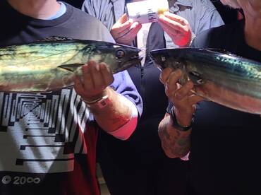 Firts bonitas seasons 