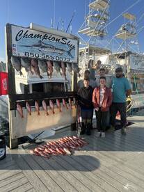 December Special Rates Championship Offs