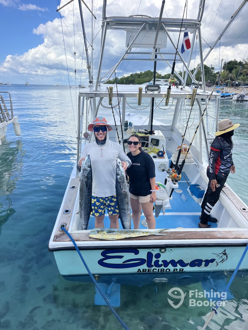 Dominicus Report Photo 0