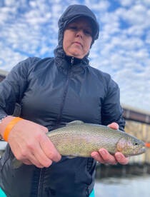 Branson Report Photo 1