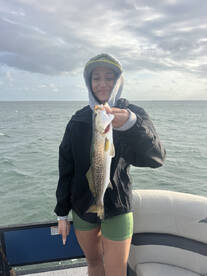 Texas Report Photo 2