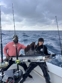 Lauderdale Marina Report Photo 3