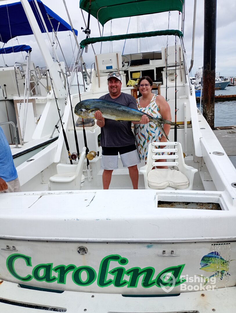 Cabo San Lucas Report Photo 0