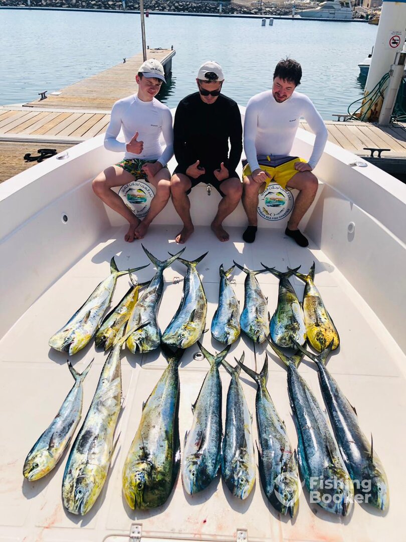 Fujairah Report Photo 0