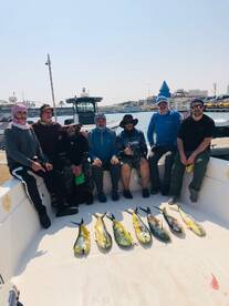 Unforgettable Mahi-Mahi Madness!