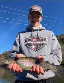 Branson Report Photo 1