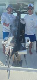 Blue marlin and wahoo in