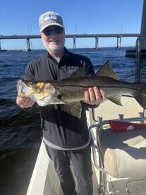 Cobia and snook at the bridges 