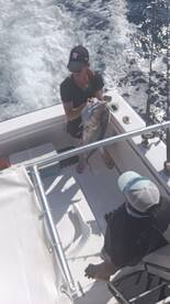 Riviera Maya Report Photo 1