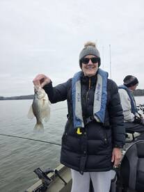 Harrison Report Photo 2