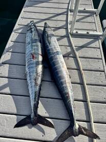 2 for 2 on WAHOO!