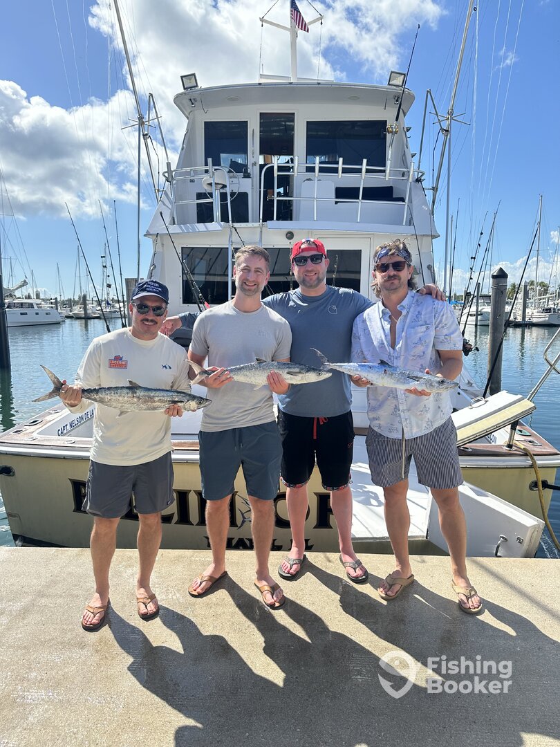 Miami-Dade County Report Photo 0