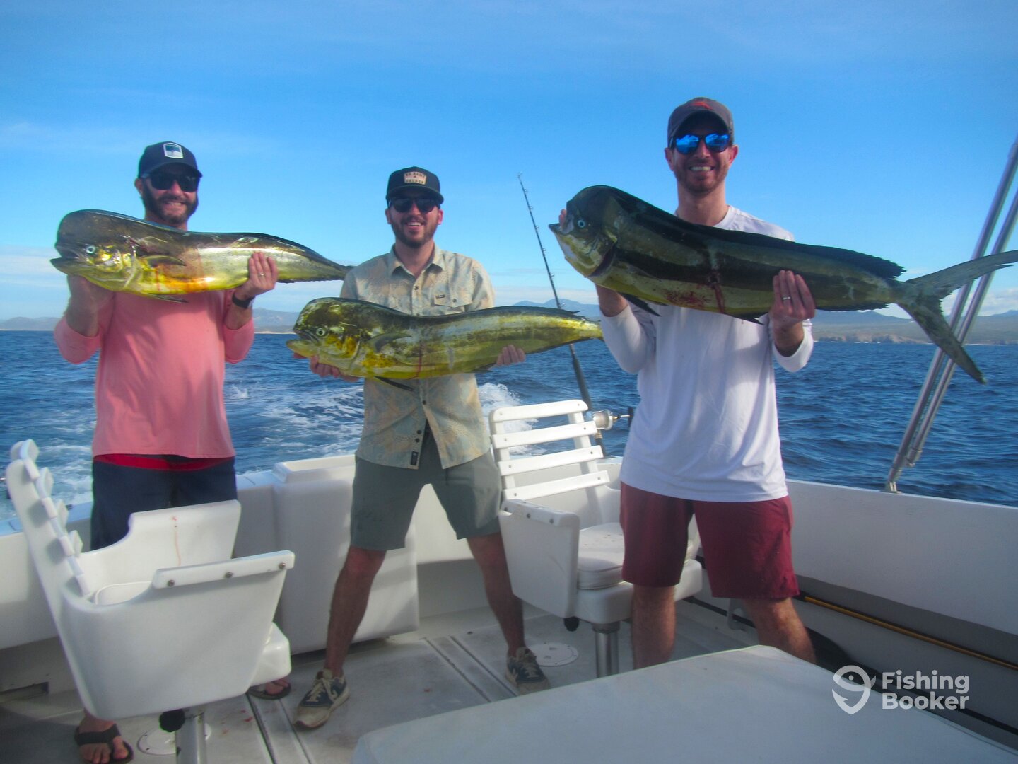 Cabo San Lucas Report Photo 0