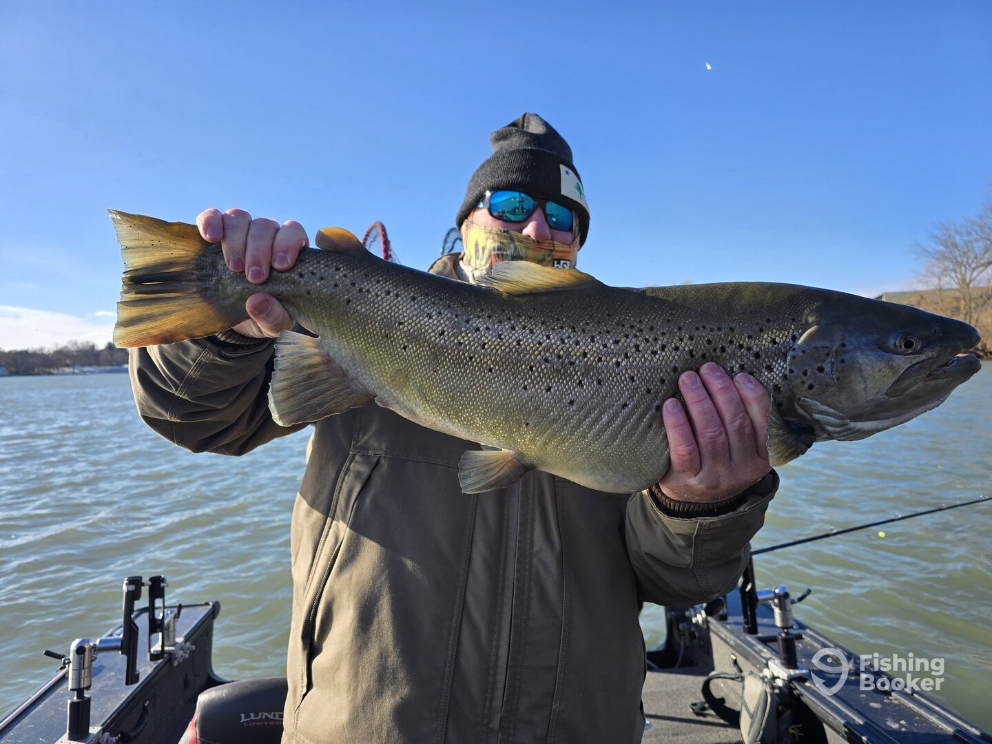 Youngstown Report Photo 0