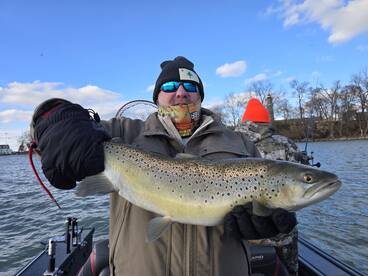 Youngstown Report Photo 2