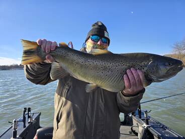 Dirty water Brown Trout 
