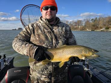 Youngstown Report Photo 1