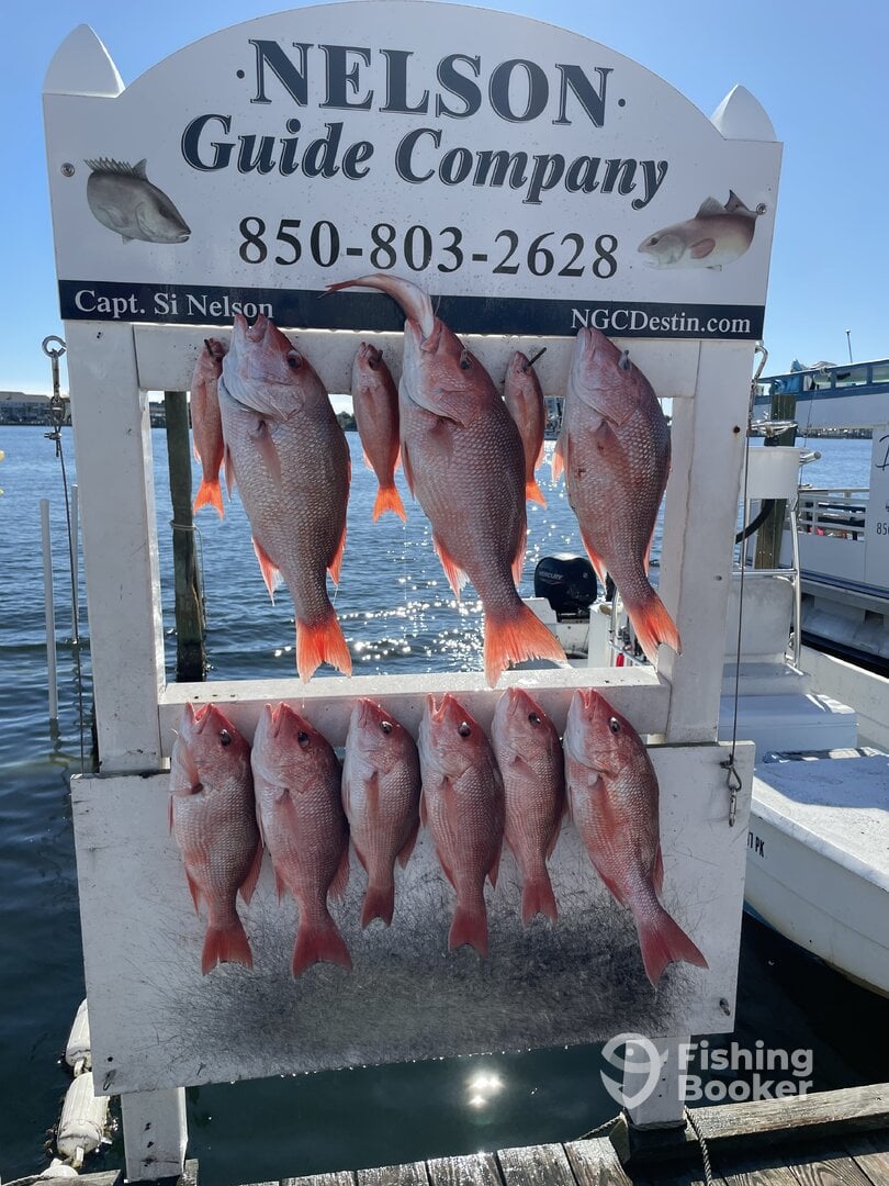 Florida Panhandle Report Photo 0