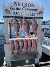 Hot bite out in the cold!