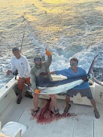Big Marlin in Punta Mita 