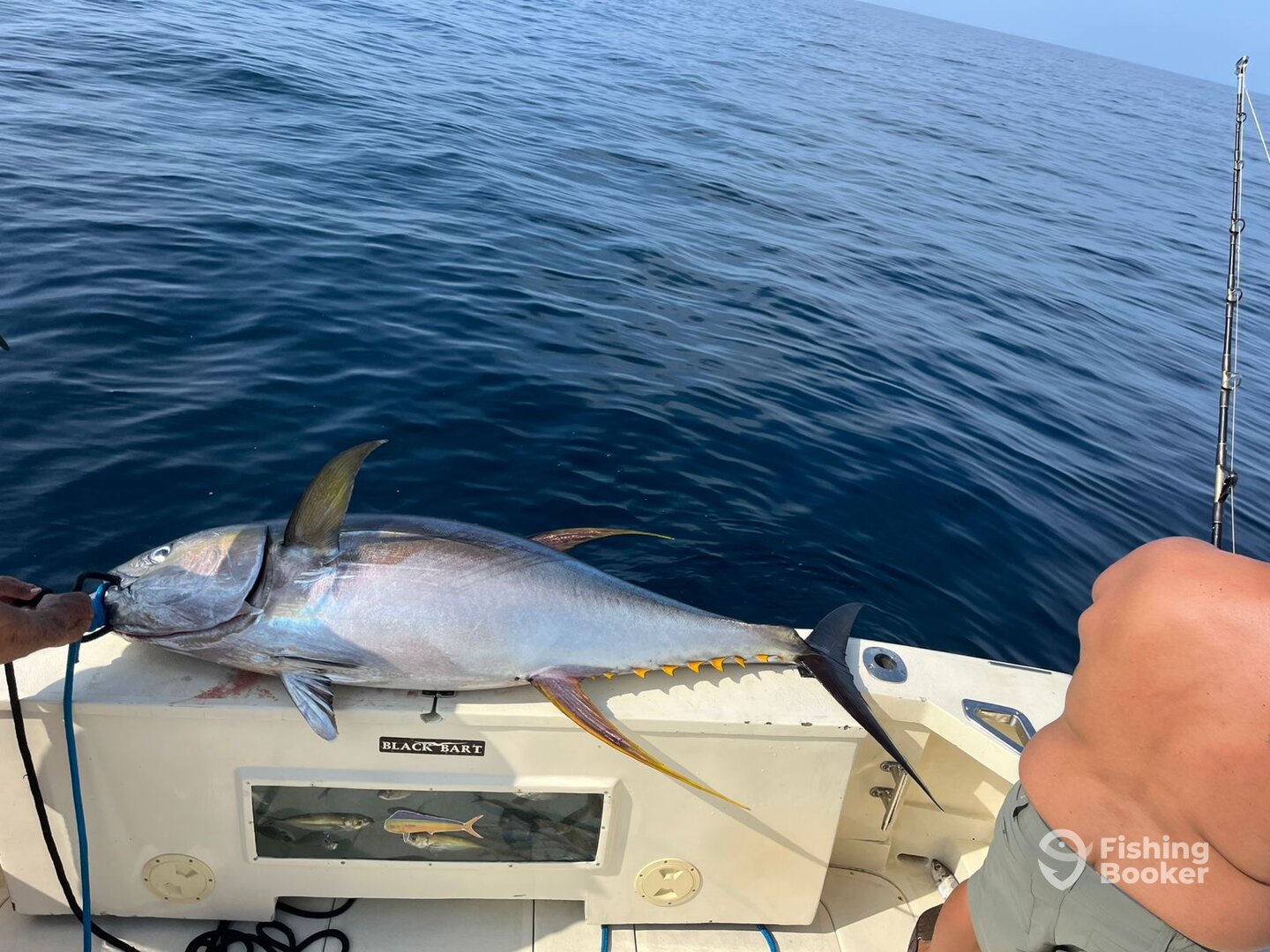 Punta Mita Report Photo 0