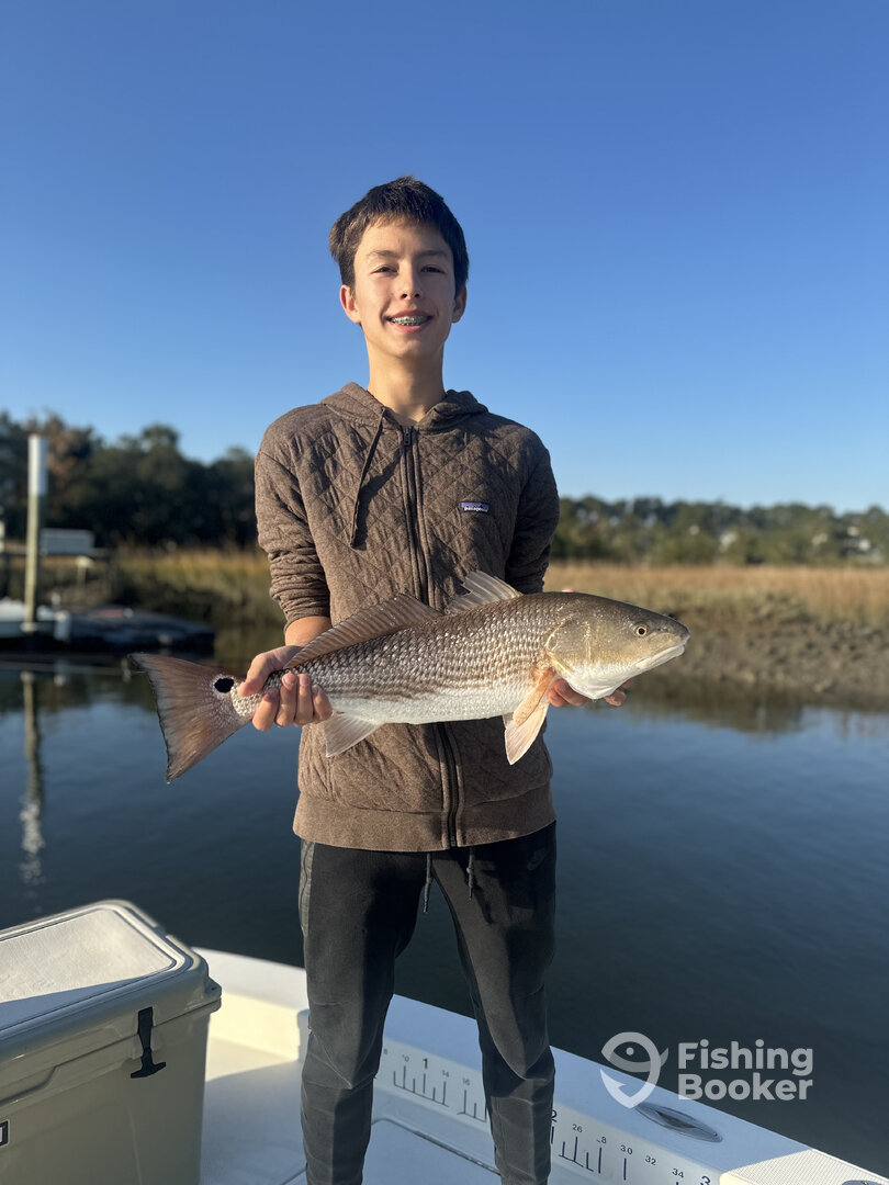 Mount Pleasant Report Photo 0