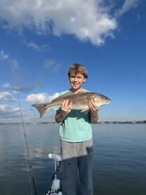 Mount Pleasant Report Photo 2