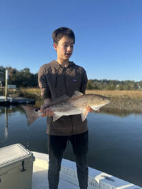 Mount Pleasant Report Photo 2