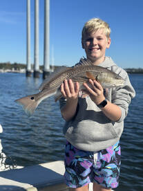 Mount Pleasant Report Photo 1