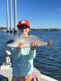 Mount Pleasant Report Photo 1