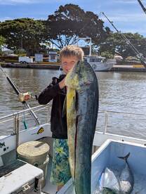 Haleiwa Report Photo 1