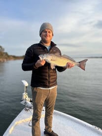 Jacksonville Report Photo 2