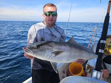 Pinellas County Report Photo 1