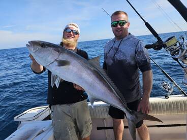 Amberjacks are on fire !!!