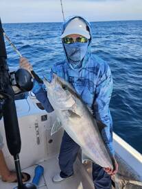 Pinellas County Report Photo 2