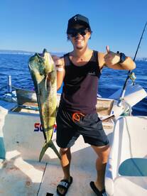 Puerto Vallarta Report Photo 1