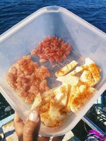 Puerto Vallarta Report Photo 2