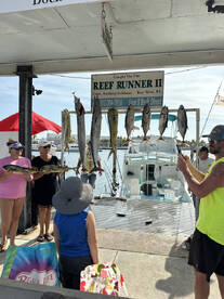 Wahoo, mahi, and black and tuna