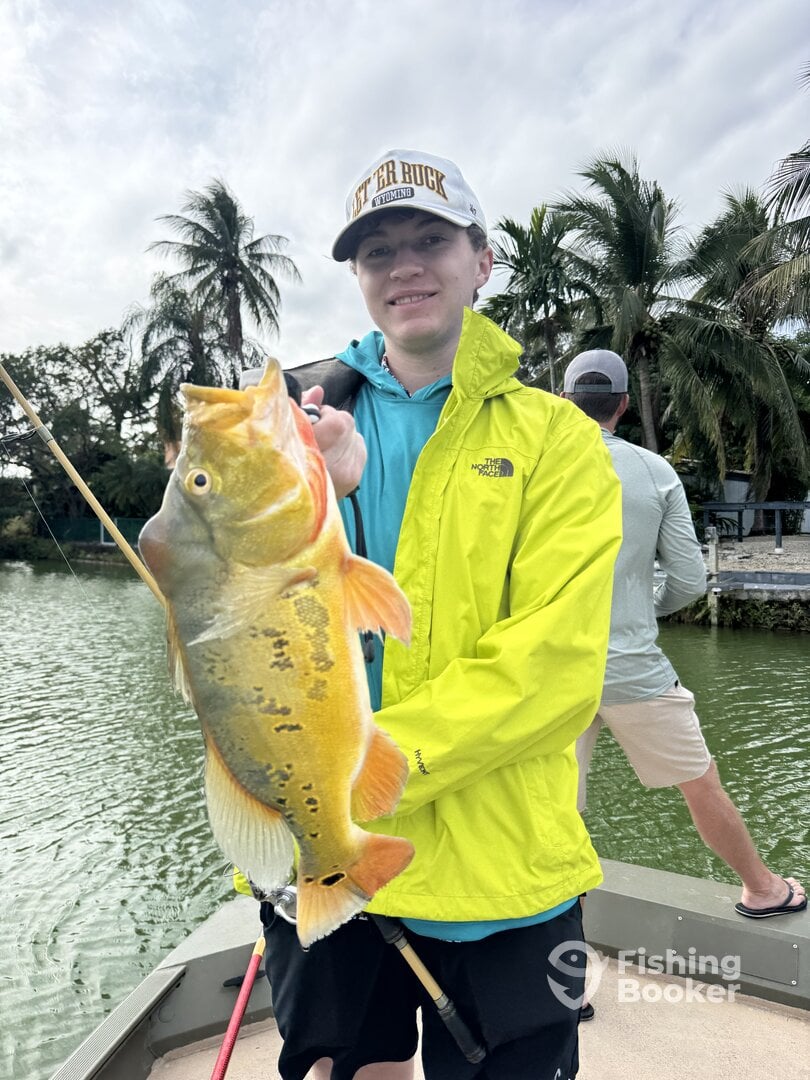 Miami Report Photo 0