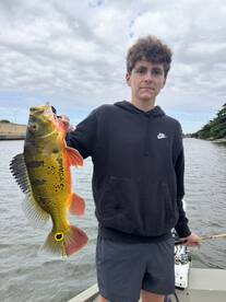 Miami Report Photo 2