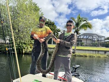 Epic adventure, with a iguanas and a rar