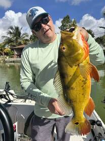 Great Peacock Bass action! 