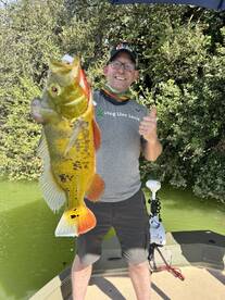 Jumbo Peacock Bass action in Miami